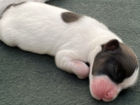 4B739EB2 673D 4D7B 95F0 C26620E0E405